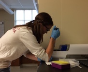 Student Pipetting